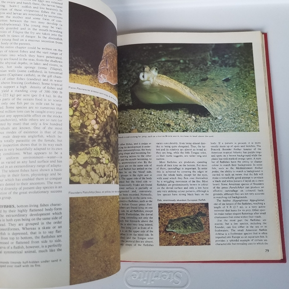 The World of Fish 1975 Peebles Press editor John H - Picture 10 of 16